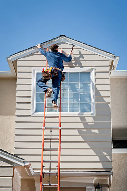 Best Insulated Siding Installation  in Laupahoehoe, HI